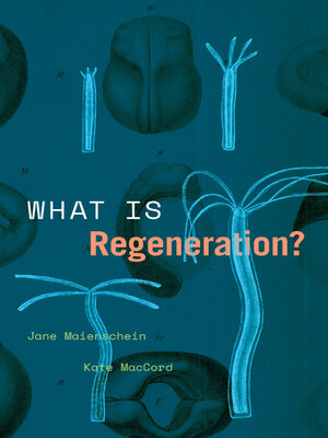 cover image of What Is Regeneration?